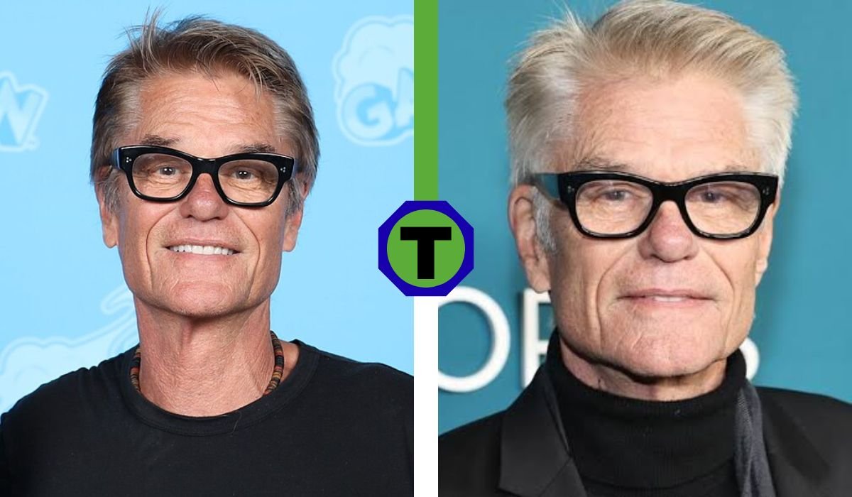 harry hamlin net worth